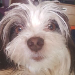 Meet your Posher, Julie